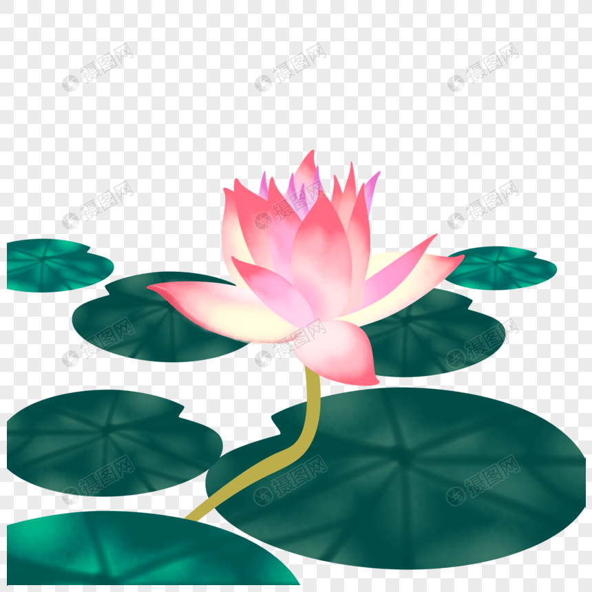 莲花元素素材下载 正版素材 摄图网 莲花元素素材下载 正版素材 摄图网