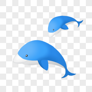 蓝色海豚图片
