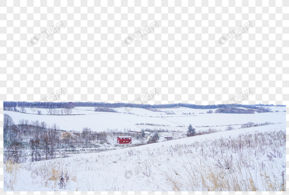 日本北海道富良野雪景图片