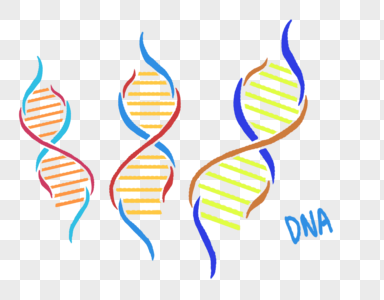 DNA基因遗传物质图片