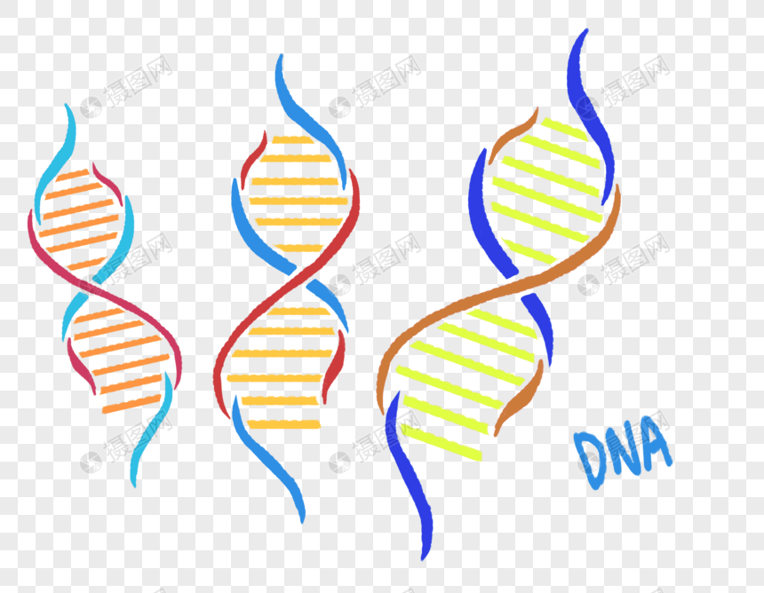 DNA基因遗传物质图片