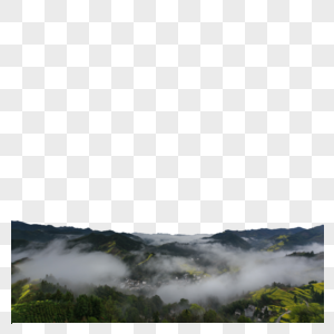 大气壮观的云海油菜花田图片