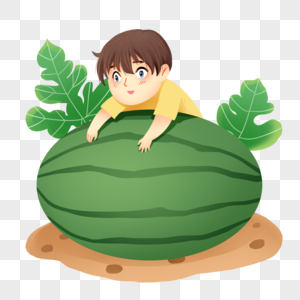 西瓜夏天图片