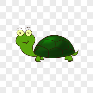 小乌龟素材乌龟高清图片