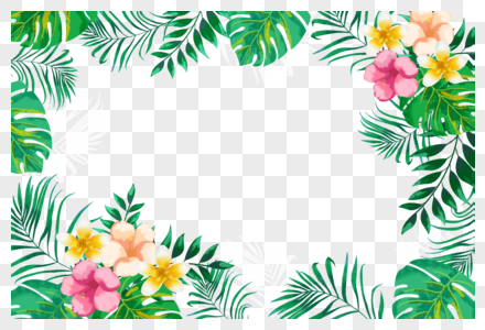 绿植花卉边框图片