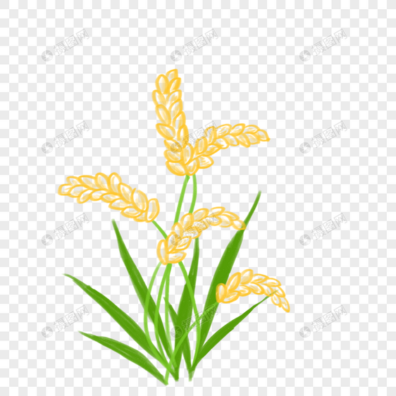 蜡笔卡通水稻PNG图片