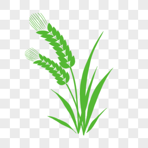 绿色卡通小麦剪影PNG高清图片