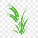 绿色卡通小麦剪影PNG图片