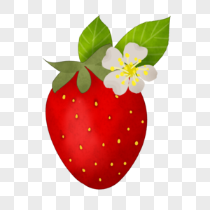 一颗草莓图片