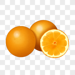 橙子插图图片