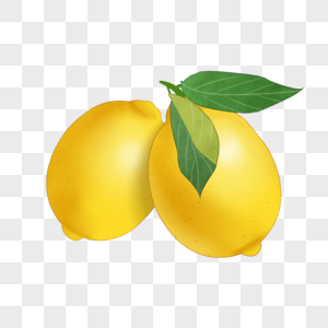 黄色柠檬插画图片