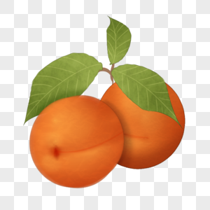 两个杏图片