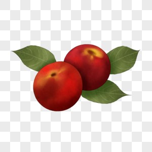 油桃红色果子图片