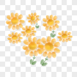 黄色雏菊菊花图片