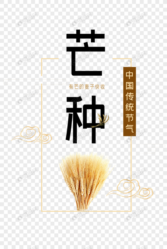 二十四节气芒种金色麦穗图片