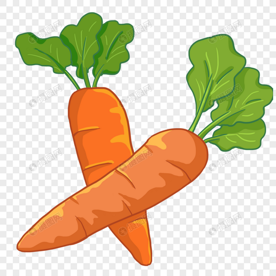 手绘卡通丰收的农作物胡萝卜图片