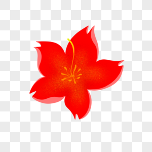 一朵红色的花朵图片