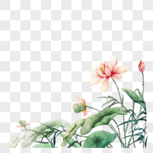 荷花莲花素材背景高清图片