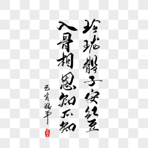 红豆相思豆图片
