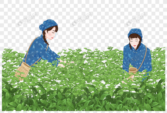 采茶的农民图片