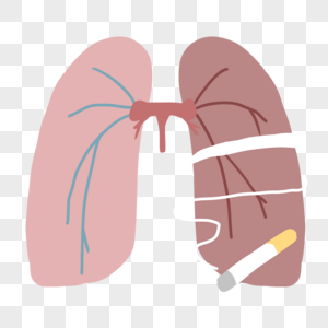 被污染的肺被烟烧穿肺高清图片