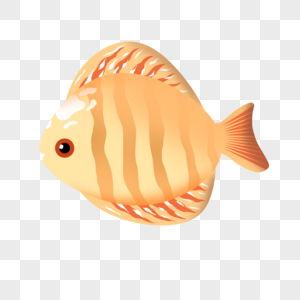 橙纹热带鱼橙黑热带鱼高清图片