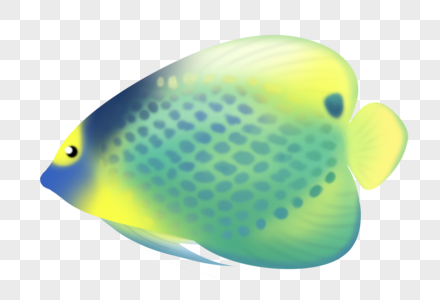 黄绿热带鱼黄绿热带鱼高清图片