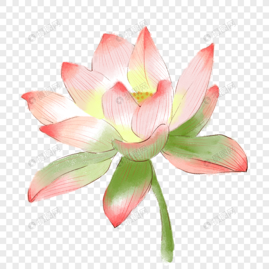 莲花元素素材下载 正版素材 摄图网 莲花元素素材下载 正版素材 摄图网