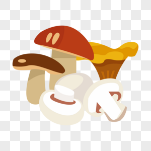 蘑菇合集图片