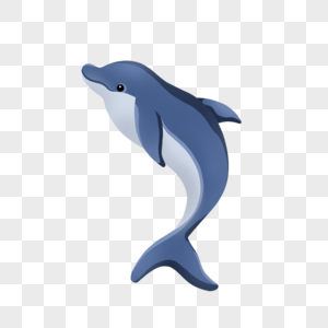 聪明可爱的海洋生物海豚高清图片