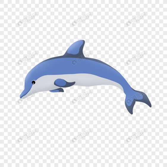跃入海中的海豚图片