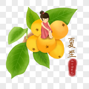 夏至插画元素夏至枇杷手写字体图片