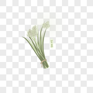 手绘艾草高清图片