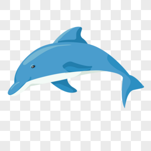 海洋生物海豚高清图片