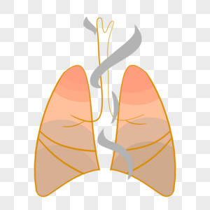 吸烟的肺部卡通手绘肺部高清图片