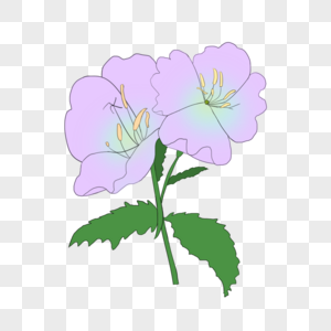 清新紫色花束图片