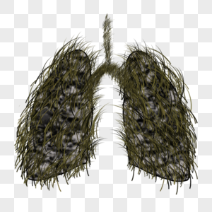 被烟草侵蚀的肺部图片