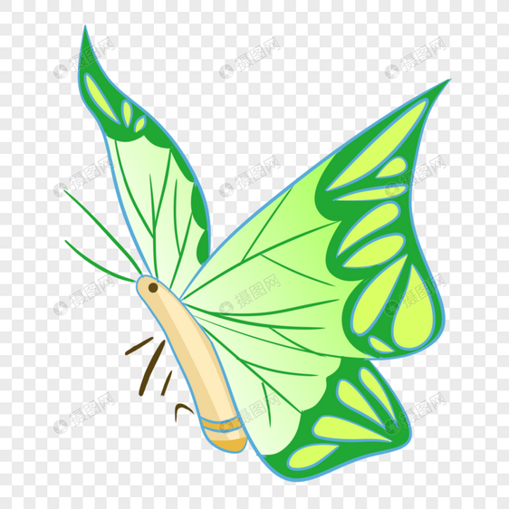 绿色蝴蝶图片