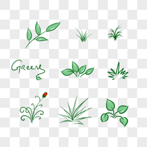 小巧绿色清新植物图片