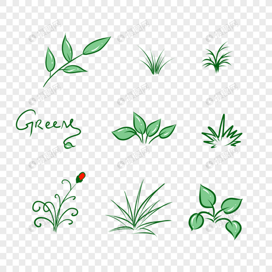 小巧绿色清新植物图片