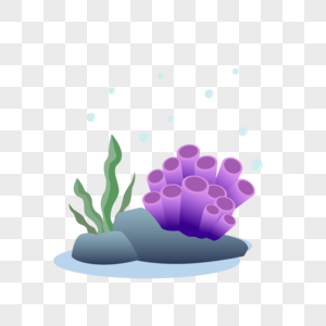 海藻珊瑚图片
