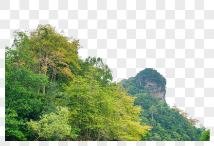 马来西亚兰卡威红树林图片