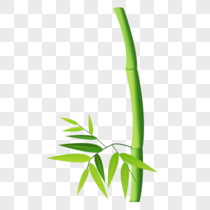 竹子粽叶图片