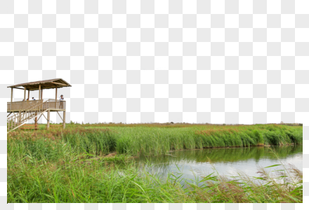 甘肃张掖湿地公园图片