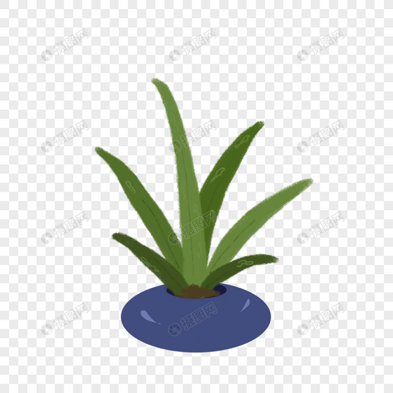 绿色植物花瓶元素图片