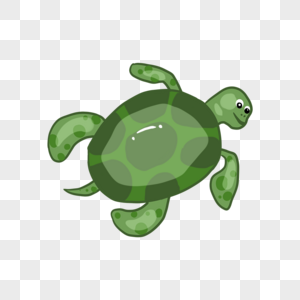 卡通绿色乌龟插图图片