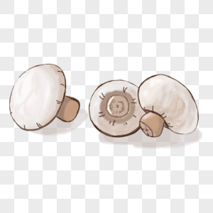 手绘食材海鲜菇蘑菇图片