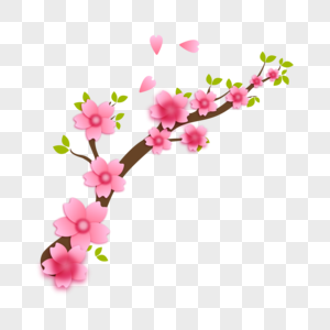 大气粉色樱花图片