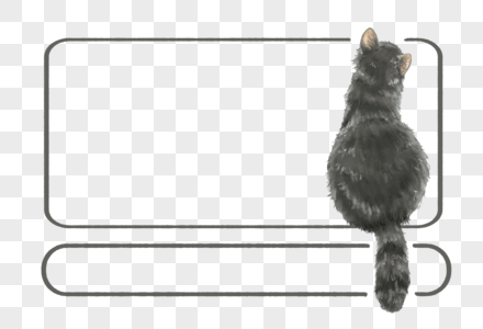 灰猫背影边框图片
