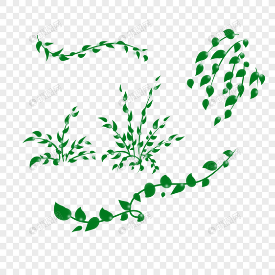 各式绿色藤蔓小草植物图片